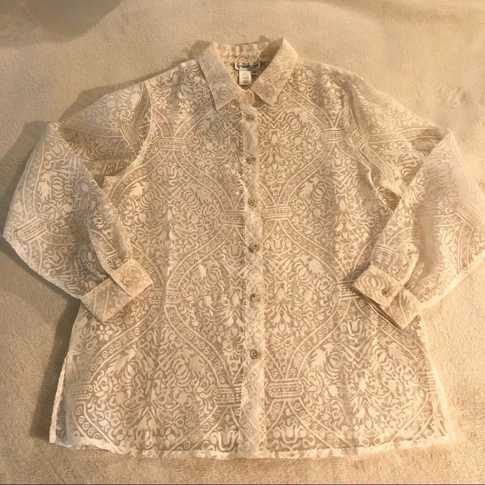 Coldwater Creek Cream Sheer LS Blouse Medium EUC - Picture 4 of 7